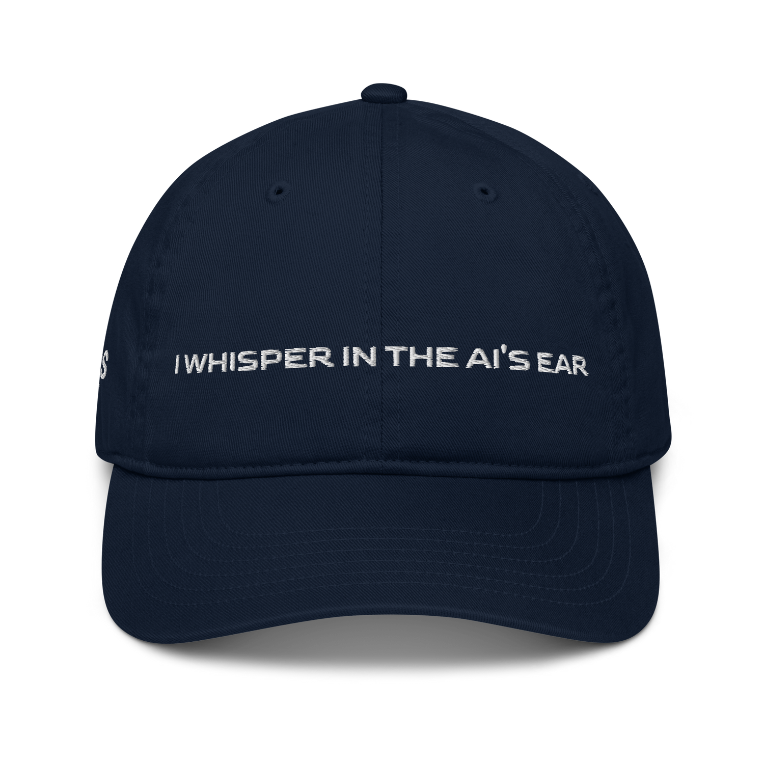 I WHISPER IN THE AI'S EAR